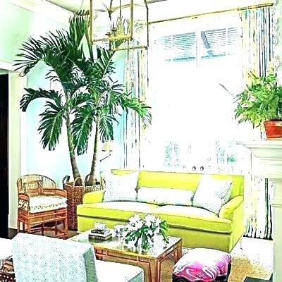 tropical room decor